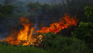 Los incendios forestales dejan una huella emocional en los afectados y en los equipos de emergencia advierten los psic&oacute;logos