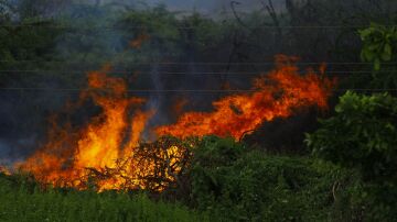 Los incendios forestales dejan una huella emocional en los afectados y en los equipos de emergencia advierten los psic&oacute;logos