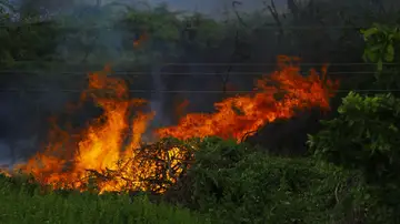 Los incendios forestales dejan una huella emocional en los afectados y en los equipos de emergencia advierten los psicólogos Los incendios forestales dejan una huella emocional en los afectados y en los equipos de emergencia advierten los psicólogos