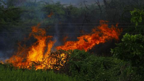 Los incendios forestales dejan una huella emocional en los afectados y en los equipos de emergencia advierten los psic&oacute;logos