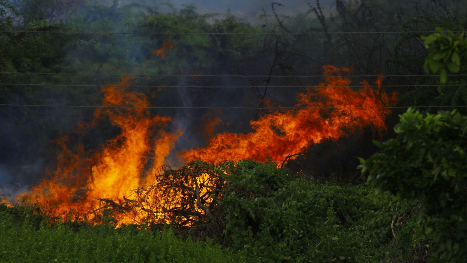 Los incendios forestales dejan una huella emocional en los afectados y en los equipos de emergencia