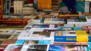 La Feria del Libro Viejo de Santander celebra su edici&oacute;n m&aacute;s extensa con 16 librer&iacute;as de toda Espa&ntilde;a