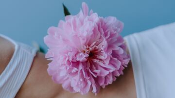 Una toma en primer plano que destaca una vibrante peon&iacute;a rosa colocada sobre piel desnuda, irradiando elegancia y simplicidad.