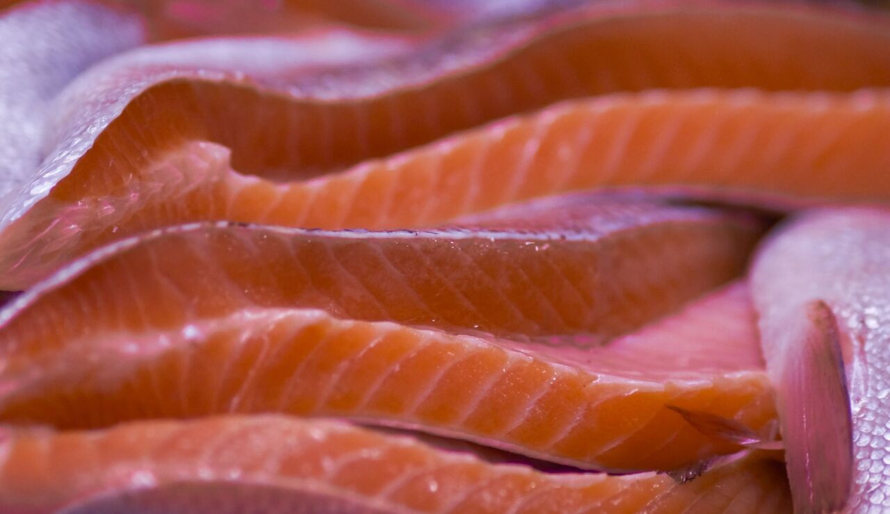 Primer plano de filetes de salm&oacute;n frescos, perfectos para comidas gourmet y preparaci&oacute;n de sushi