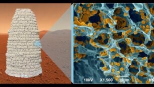 Una vista microsc&oacute;pica revela la estructura porosa del material, con pol&iacute;meros y levadura modificada gen&eacute;ticamente resaltados en amarillo (derecha). Fotograf&iacute;a faciltada por Ning Liu.