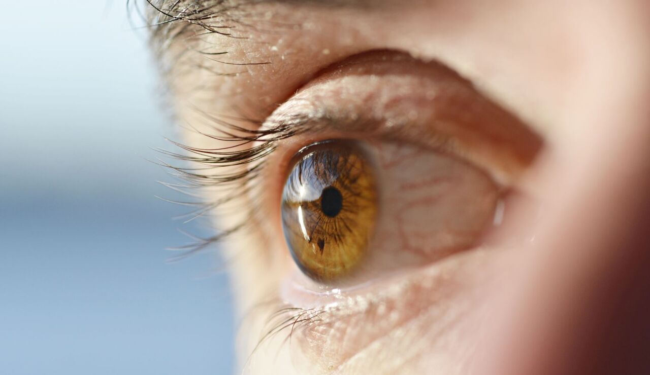 Desprendimiento de retina, estos los s&iacute;ntomas que pueden alertar de una enfermedad ocular grave e indolora