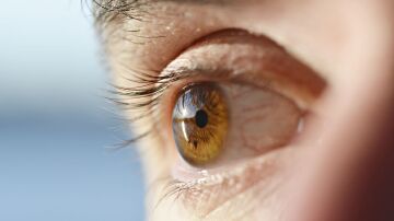 Desprendimiento de retina, estos los s&iacute;ntomas que pueden alertar de una enfermedad ocular grave e indolora