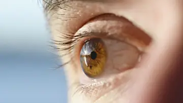 Desprendimiento de retina, estos los síntomas que pueden alertar de una enfermedad ocular grave e indolora Desprendimiento de retina, estos los síntomas que pueden alertar de una enfermedad ocular grave e indolora