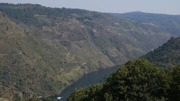 Viticultura heroica a los 72 a&ntilde;os: el legado de Sindo, el relevo de &Oacute;scar y los retos clim&aacute;ticos en la Ribeira Sacra