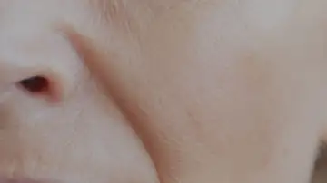 Primer plano de la mitad de la cara de una mujer Primer plano de la mitad de la cara de una mujer