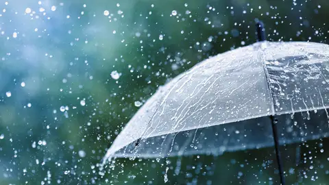 Un paraguas bajo la lluvia Un paraguas bajo la lluvia