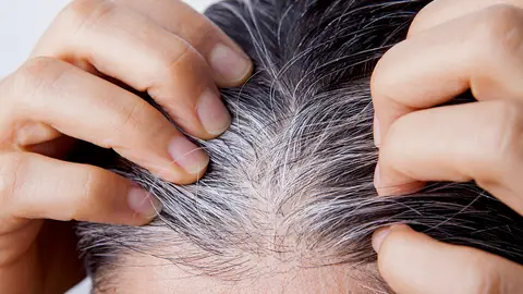 Canas Canas