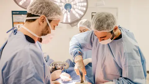 Los trasplantes de hígado de donante vivo pueden acortar el tiempo en lista de espera y las muertes Equipo de médicos practicando una operación en el quirófano