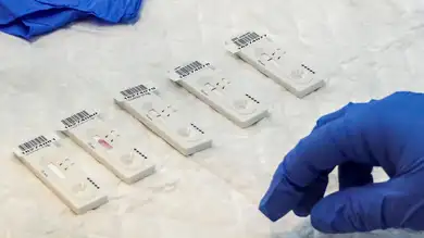 La OMS advierte sobre una nueva variante de Covid bajo vigilancia ante el aumento mundial de casos La OMS advierte sobre una nueva variante de Covid bajo vigilancia ante el aumento mundial de casos