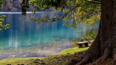 Pasar más tiempo en espacios verdes puede reducir la prescripción de algunos fármacos