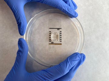 Fotografía facilitada por el Instituto de Bioingeniería de Cataluña (IBEC) del dispositivo tipo chip que sus investigadores han desarrollado 