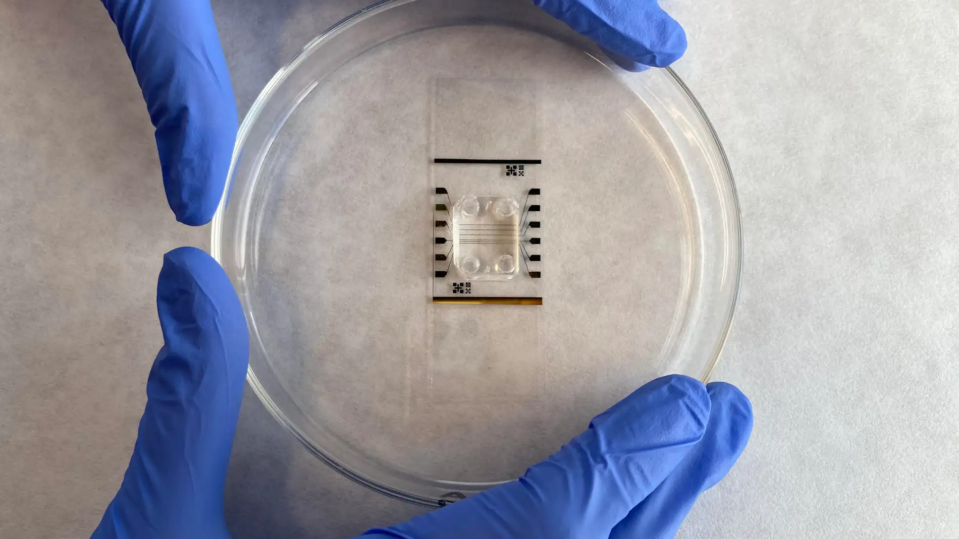 Fotografía facilitada por el Instituto de Bioingeniería de Cataluña (IBEC) del dispositivo tipo chip que sus investigadores han desarrollado 