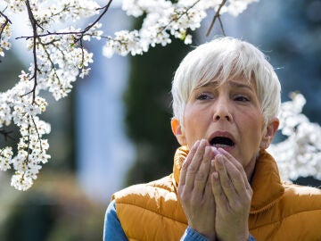 As&iacute; pueden combatir la alergia primaveral las personas mayores 