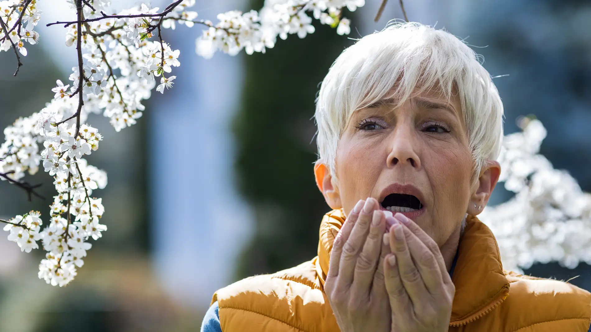 Así pueden combatir la alergia primaveral las personas mayores 