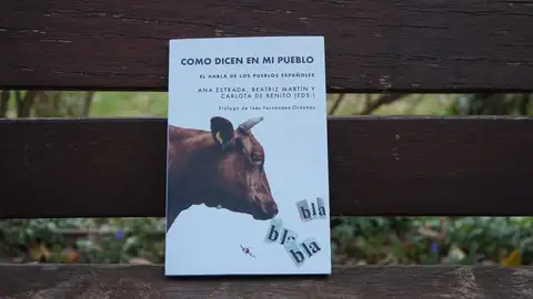Portada del libro 'Como dicen en mi pueblo' Portada del libro 'Como dicen en mi pueblo'