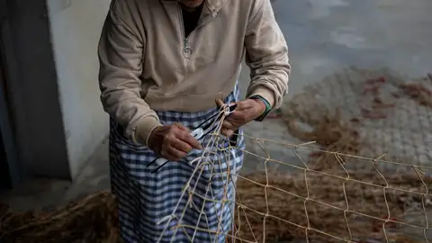 Rederas gallegas de la Asociación de Redeiras Illa da Estrela, de Corme (A Coruña) Rederas gallegas de la Asociación de Redeiras Illa da Estrela, de Corme (A Coruña)