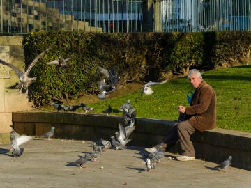 Hombre mayor dando de comer a las palomas