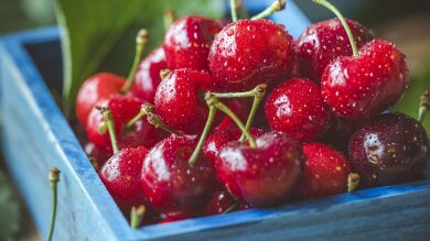 Es tiempo de cerezas, estas son sus propiedades antiinflamatorias