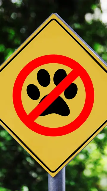 Prohibición animal Prohibición animal