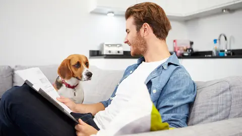 El seguro de responsabilidad civil para los perros El seguro de responsabilidad civil para los perros
