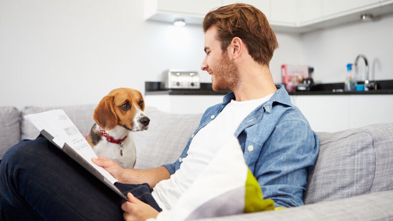 Qué exige la ley de Bienestar Animal sobre el seguro de responsabilidad civil para los perros