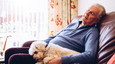 Treinta minutos de siesta y seis horas de sueño reducen el riesgo de sufrir arritmia