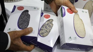 España y Tailandia buscan un tipo arroz apto para diabéticos y con resistencia climática