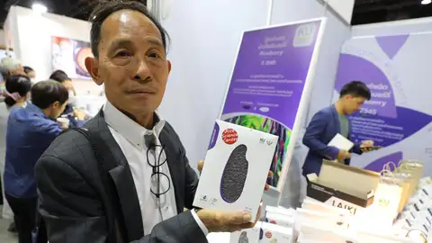 Apichart Vanavichit, científico jefe tailandés del proyecto Innovarice Thai Apichart Vanavichit, científico jefe tailandés del proyecto Innovarice Thai