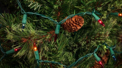 Estas son las luces navideñas más seguras y económicas según la OCU