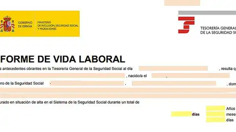 Informe Vida Laboral Informe Vida Laboral