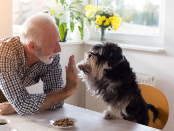 Hombre mayor junto a su perro 