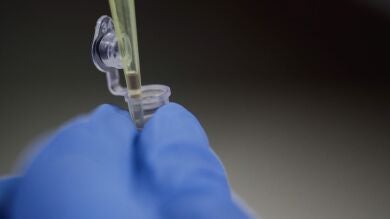 Un nuevo anticuerpo logra bloquear todas las variantes del SARS-CoV-2 en el laboratorio