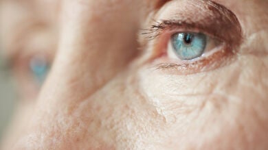 La intensidad de como vemos los colores disminuye con el envejecimiento 