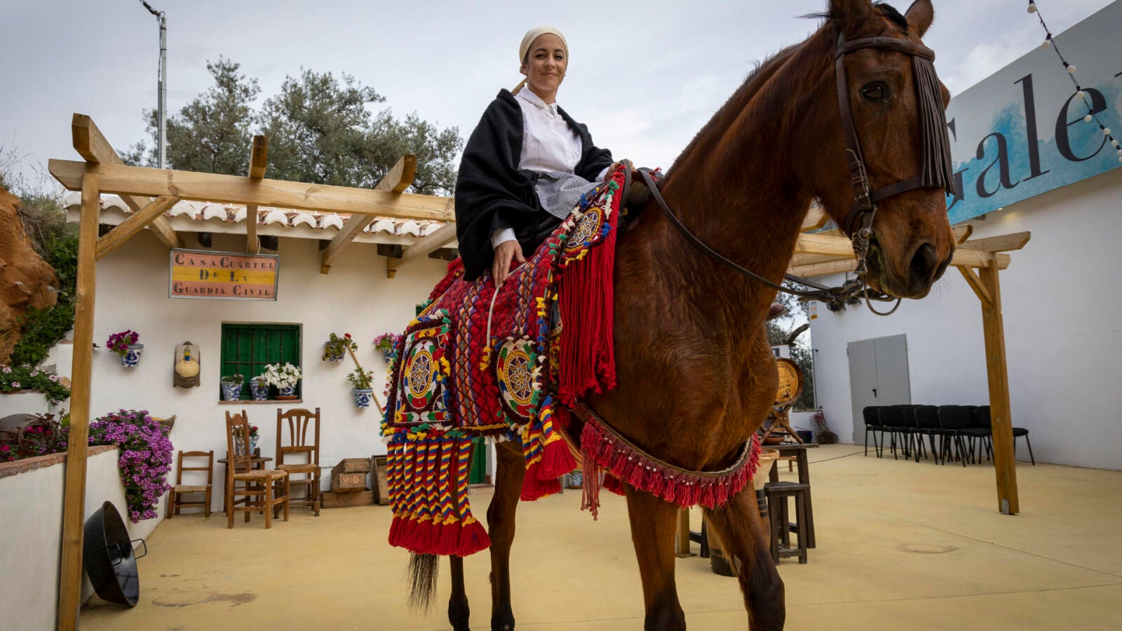 Tía Agustina, la panadera malagueña que ahuyentó con abejas a las tropas de Napoleón