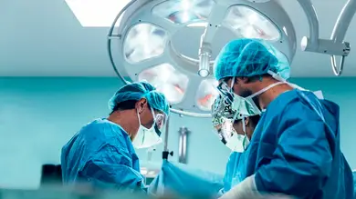 Realizan el primer trasplante de riñón de cerdo genéticamente modificado a un hombre de 62 años