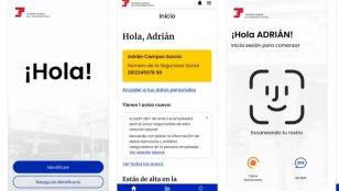 Interface de la aplicaci&oacute;n Importass de la Seguridad Social