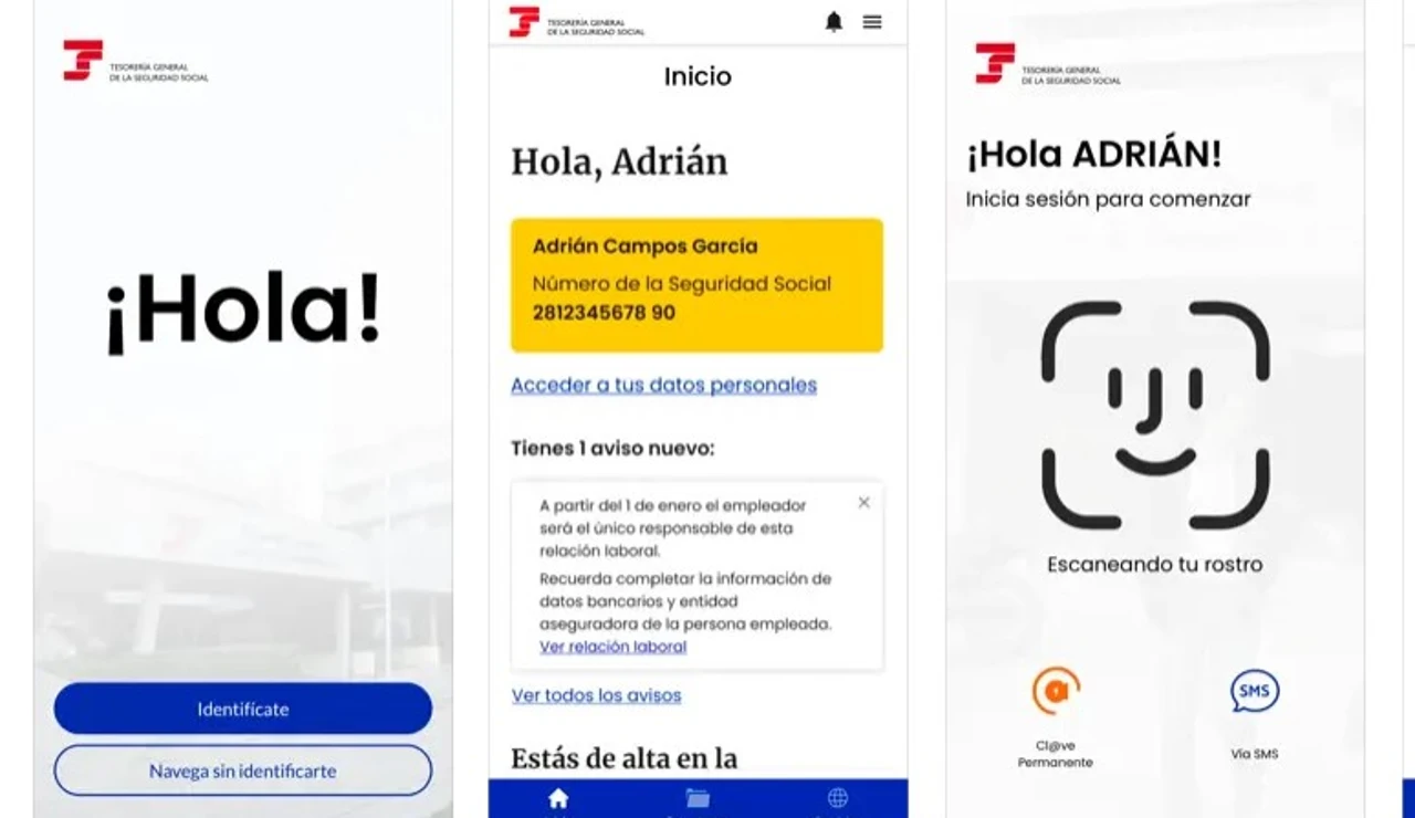 Interface de la aplicación Importass de la Seguridad Social