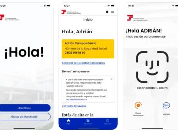Interface de la aplicaci&oacute;n Importass de la Seguridad Social