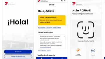 Interface de la aplicaci&oacute;n Importass de la Seguridad Social