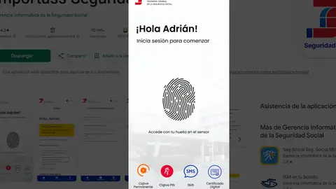 Interface de la app Importass de la Seguridad Social Interface de la app Importass de la Seguridad Social
