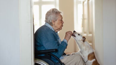 Un proyecto utiliza perros para paliar la depresión y la soledad en personas mayores