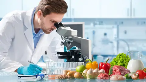 Analizando alimentos Analizando alimentos