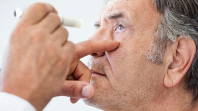 Una nueva investigación ofrece esperanza para prevenir la ceguera relacionada con la edad