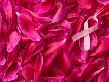 C&aacute;ncer de mama