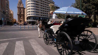 Los coches de caballos de Málaga dejarán de funcionar este año